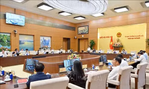 Đề xuất thí điểm chế định luật sư công trong 2 năm