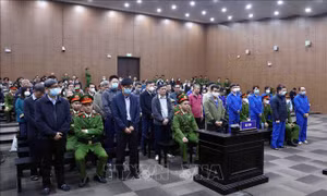 Bắt đầu phiên xét xử 2 cựu bộ trưởng và 36 bị cáo trong đại án Việt Á