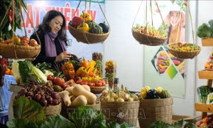 Trên 100 gian hàng quảng bá đặc sản nông nghiệp Đà Lạt tại Festival hoa
