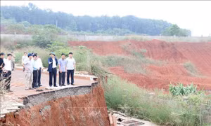 Bí thư Tỉnh ủy Đắk Nông: Sớm xác định nguyên nhân sạt lở tại Khu công nghiệp Nhân Cơ