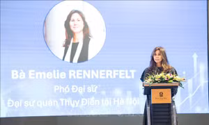 Hệ thống dữ liệu phục vụ hiệu quả theo dõi di cư lao động