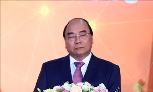 Việt Nam sẵn sàng đóng góp tích cực vì hòa bình, an ninh, phát triển và tiến bộ thế giới