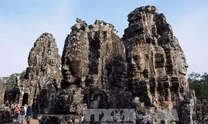 Khai quật rùa đá hàng trăm năm tuổi tại khu quần thể Angkor