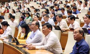 Phê chuẩn 40 Phó Trưởng đoàn đại biểu Quốc hội khóa XVI của 28 tỉnh