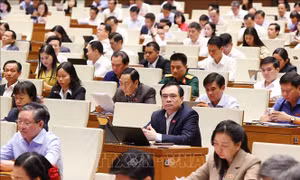 Chủ tịch Quốc hội phê chuẩn Trưởng đoàn đại biểu Quốc hội khóa XVI của 28 tỉnh