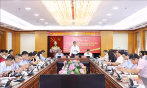 Tập trung xử lý dứt điểm các vụ án, vụ việc liên quan đến nhân sự đại hội Đảng các cấp