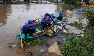 Tổ chức các hoạt động 'Làm cho thế giới sạch hơn năm 2020' tại Việt Nam