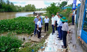 Cần Thơ đề xuất Trung ương hỗ trợ xây dựng 4 tuyến kè chống sạt lở khẩn cấp