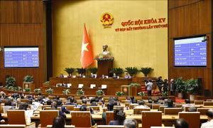 Phát triển hệ thống mạng lưới đường sắt đô thị tại Hà Nội, Thành phố Hồ Chí Minh