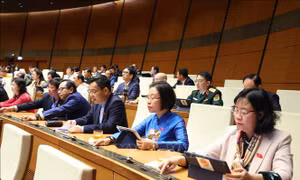 Tháo gỡ vướng mắc trong hoạt động khoa học, công nghệ, đổi mới sáng tạo và chuyển đổi số quốc gia