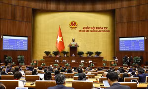 Quốc hội thông qua chủ trương đầu tư Dự án đầu tư xây dựng tuyến đường sắt Lào Cai - Hà Nội - Hải Phòng