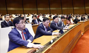 Quốc hội thông qua Luật Tổ chức chính quyền địa phương (sửa đổi)