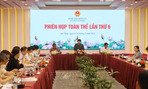 Phiên họp toàn thể lần thứ 6 Ủy ban Xã hội của Quốc hội