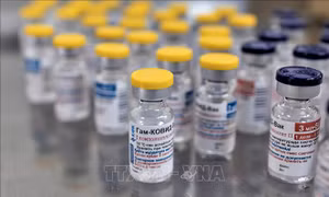 Nga đưa vào sử dụng hơn 1,5 triệu liều vaccine ngừa COVID-19