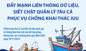 Đẩy mạnh liên thông dữ liệu, siết chặt quản lý tàu cá phục vụ chống khai thác IUU