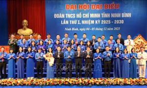 Tuổi trẻ phải trở thành lực lượng dẫn đầu ở 5 lĩnh vực tiên phong