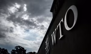 WTO 'bi quan' về triển vọng thương mại toàn cầu trong thời gian tới