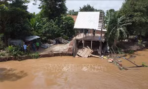 Đồng Tháp công bố tình huống khẩn cấp sạt lở bờ sông Tiền