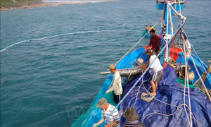 Tăng cường luận cứ khoa học trong phát triển bền vững kinh tế biển