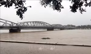 Chủ động ứng phó lũ trên sông Hương sẽ đạt đỉnh trong đêm 25/11