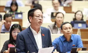 Gỡ vướng mâu thuẫn văn bản pháp luật sẽ khắc phục được tình trạng cán bộ sợ trách nhiệm