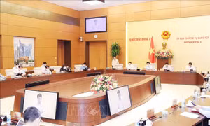 Nâng cao chất lượng kiểm toán, siết chặt kỷ luật tài chính