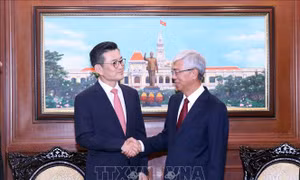 TP Hồ Chí Minh và CityNet thúc đẩy hợp tác