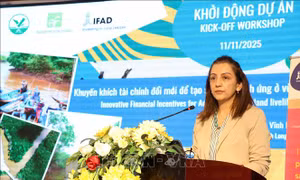 Vĩnh Long khởi động dự án tạo sinh kế thích ứng ở vùng đất ngập nước
