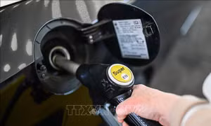 Chiều 28/10, giá dầu giảm do Trung Quốc tăng cường phòng, chống COVID-19