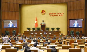 Thông cáo báo chí số 22, Kỳ họp thứ 10, Quốc hội khóa XV