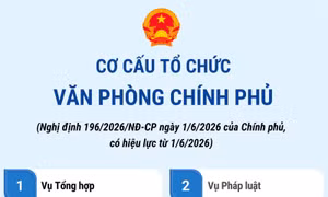 Cơ cấu tổ chức Văn phòng Chính phủ từ 1/6/2026