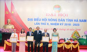 Xây dựng Hội Nông dân vững mạnh - nòng cốt xây dựng nông thôn mới
