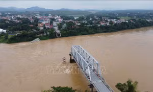 Phú Thọ: Cấm toàn bộ các phương tiện xe cơ giới lưu thông qua các cầu Tứ Mỹ, Trung Hà và Phong Châu
