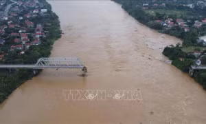 Công an Phú Thọ phân luồng giao thông sau sự cố sập cầu 