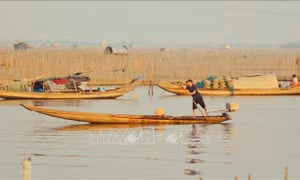 Những mảnh đời trên mặt phá Tam Giang - Bài 2