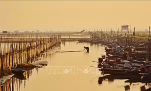 Những mảnh đời trên mặt phá Tam Giang - Bài 1