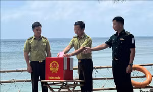 Đưa thùng phiếu vượt biển đến với kiểm lâm giữ đảo rùa