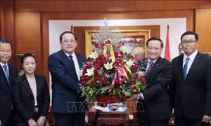 Lãnh đạo các bộ, ngành của Lào chúc mừng kỷ niệm 75 năm Quốc khánh 2/9
