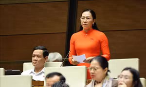 Kiến nghị phân loại kết quả trả lời kiến nghị của cử tri theo hướng cụ thể hơn