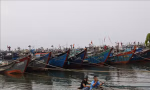 Ứng phó với bão số 5: Hà Tĩnh cấm các tàu, thuyền ra khơi