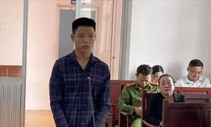 Tòa án nhân dân tỉnh Bạc Liêu xét xử trực tuyến rút kinh nghiệm vụ án hình sự