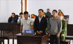 Tuyên phạt 3 Thanh tra giao thông cải tạo không giam giữ