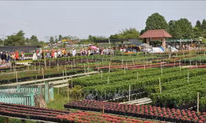 Công bố Quy hoạch tỉnh Đồng Tháp 