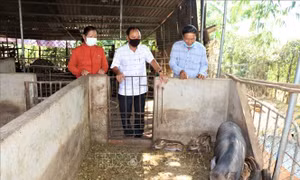 Bà Rịa - Vũng Tàu: Hơn 118 tỷ đồng chăm lo cho đồng bào dân tộc thiểu số