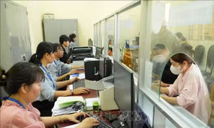 Bài toán nhân lực cho bộ máy chính quyền địa phương 2 cấp ở TP Hồ Chí Minh - Bài 1