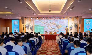 Khẩn trương tổng kiểm tra, đánh giá hiện trạng đê điều sau lũ