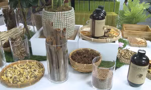 Sản phẩm dược mỹ phẩm của Sao Thái Dương bước đầu thu hút người tiêu dùng Anh