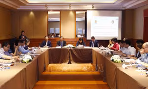 Tham vấn quốc gia về đánh giá triển khai Kế hoạch công tác Sáng kiến Hội nhập ASEAN giai đoạn III
