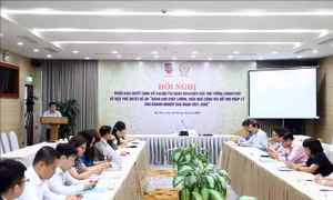 Hoàn thiện thể chế, chính sách về hỗ trợ pháp lý cho doanh nghiệp