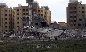  Ai Cập, Ireland thảo luận nỗ lực thực thi nghị quyết của HĐBA về Gaza